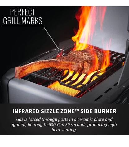 Napoleon Prestige 500 Propane Gas Grill