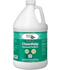 *Organic Liquid Seaweed And Kelp Fertilizer Supplement By Bloom City